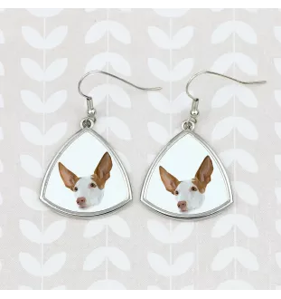 Podenco d'Ibiza, chien de garenne des Baléares - boucles d'oreilles avec une photo et un motif de chien géométrique Art-Dog