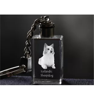 Icelandic Sheepdog, Icelandic Spitz, Iceland Dog - Crystal key ring with dog photo, illuminated key ring, unique gift by Art-Dog brand