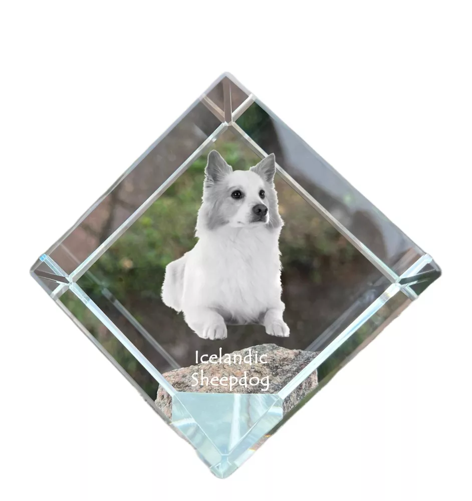 Icelandic Sheepdog, Icelandic Spitz, Iceland Dog - crystal cube with a photo, photo of a horse in crystal, cubic paperweight from Art-Dog brand