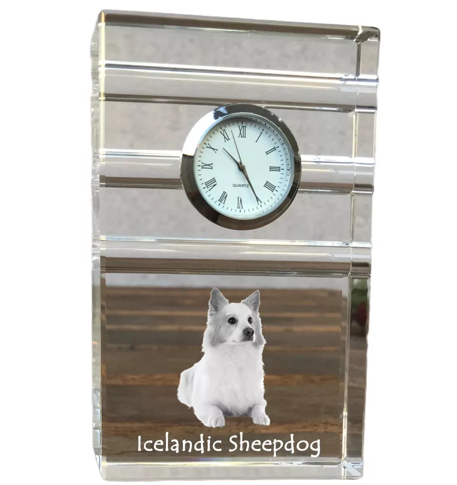 Icelandic Sheepdog, Icelandic Spitz, Iceland Dog - glass clock with a photo, photo of a dog in crystal, personalized standing office clock by Art-Dog brand