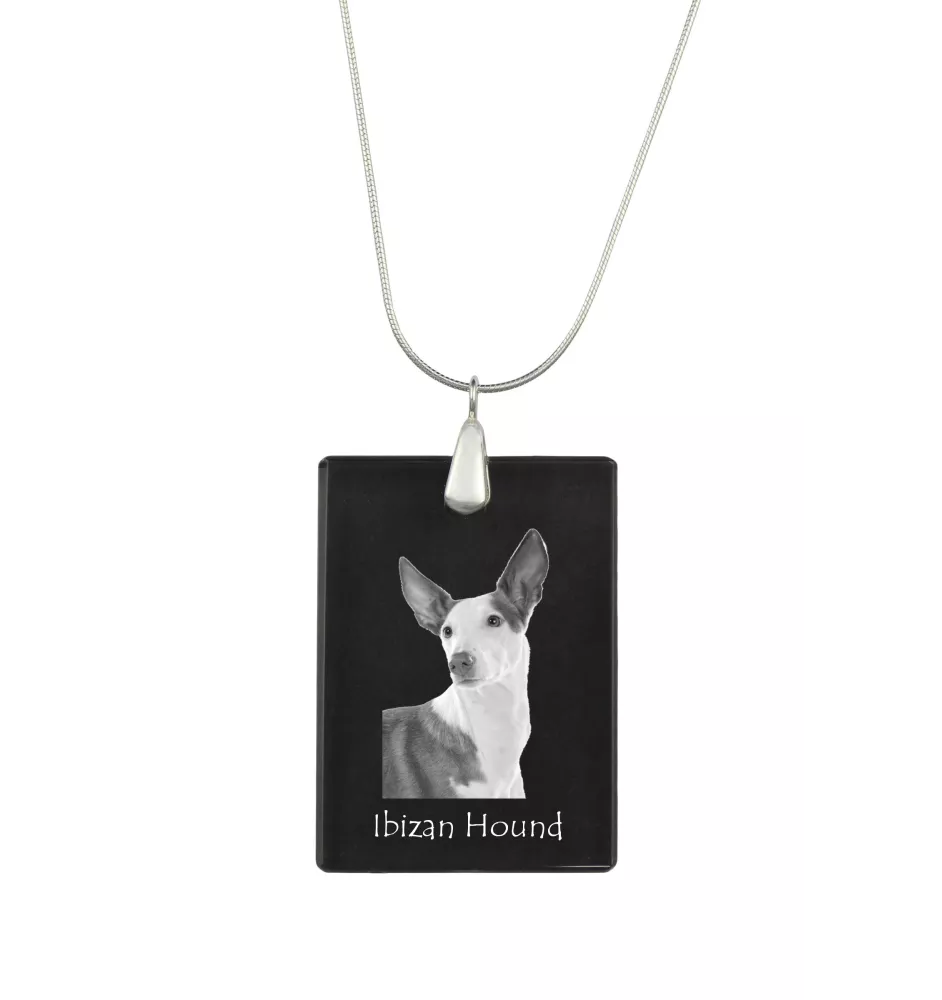 Podenco d'Ibiza, chien de garenne des Baléares - Pendentif en cristal avec chien, collier en argent avec photo, pendentif personnalisé par la marque Art-Dog