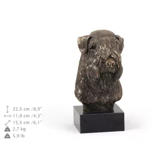 Irish soft coated wheaten terrier głowa na kamieniu Art-Dog