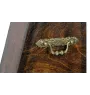 Terrier de Wheatan à poil doux  - urne pour les cendres d'un chien, une urne élégante avec une statuette, une urne commémorative avec un buste de chien de la marque Art-Dog