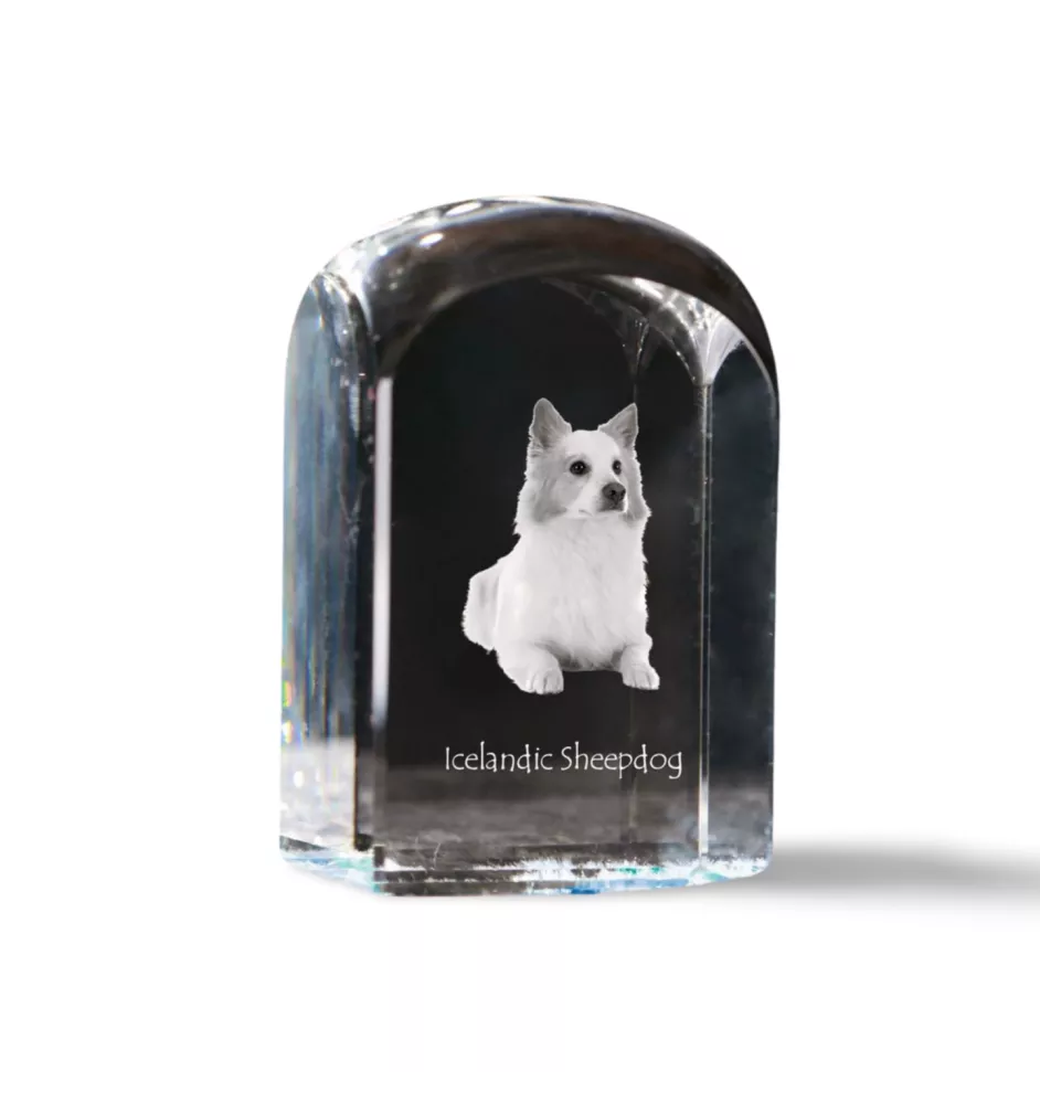 Islandhund, Isländischer Spitz, Isländischer Schäferhund - Kristallwürfel mit Bild, Hundebild im Kristall, sechseckiger Papierclip von Art-Dog.