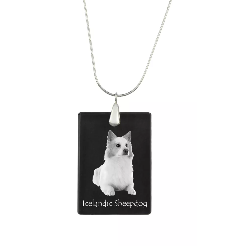 Chien de berger islandais, Berger d'Islande - Pendentif en cristal avec chien, collier en argent avec photo, pendentif personnalisé par la marque Art-Dog