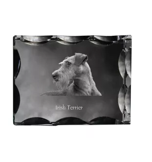 Irish Terrier, Irish Red Terrier, Brocaire Rua - crystal with a picture of a dog, glass statuette with a picture, unique frame with a picture from Art-Dog brand