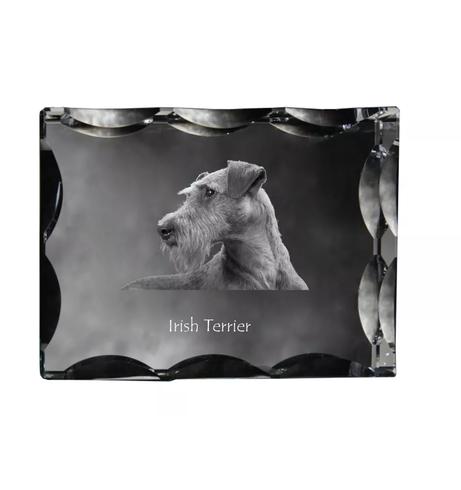 Irischer Terrier, Irish Terrier - Kristall mit einem Hundebild, Glasstatuette mit einem Bild, einzigartiger Bilderrahmen der Marke Art-Dog