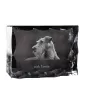 Irish Terrier, Irish Red Terrier, Brocaire Rua - crystal with a picture of a dog, glass statuette with a picture, unique frame with a picture from Art-Dog brand