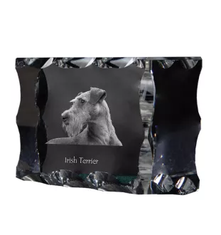 Terrier irlandais, Irish Terrier - cristal avec photo de chien, statuette en verre avec photo, cadre exceptionnel avec photo de la marque Art-Dog