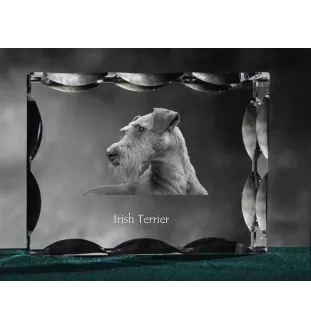 Terier irlandzki ramka kryształowa z psem Art-Dog