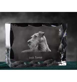 Irish Terrier, Irish Red Terrier, Brocaire Rua - crystal with a picture of a dog, glass statuette with a picture, unique frame with a picture from Art-Dog brand