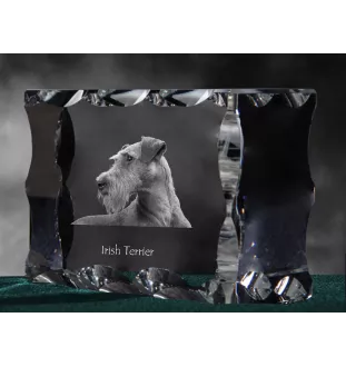 Terrier irlandais, Irish Terrier - cristal avec photo de chien, statuette en verre avec photo, cadre exceptionnel avec photo de la marque Art-Dog