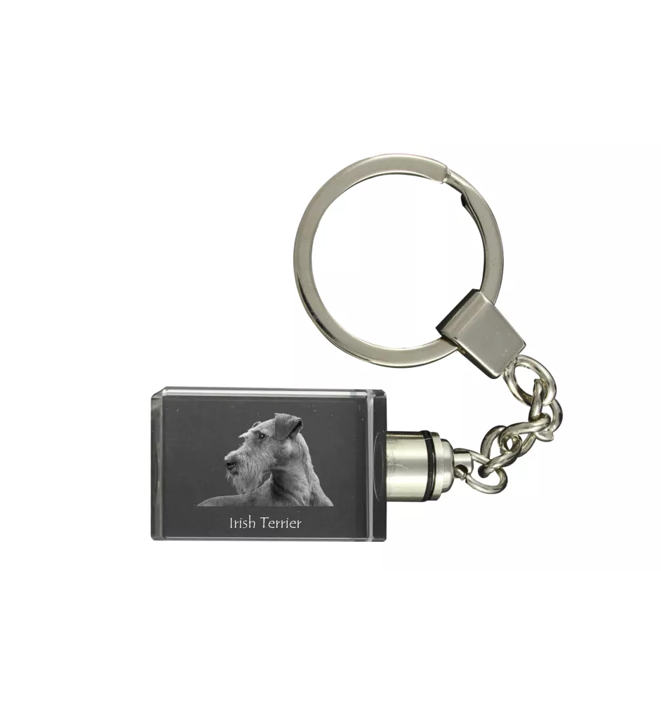 Irish Terrier, Irish Red Terrier, Brocaire Rua - Crystal key ring with dog photo, illuminated key ring, unique gift by Art-Dog brand