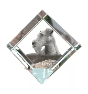 Terrier irlandais, Irish Terrier - un cube de cristal avec une photo, une photo de cheval dans le cristal, un presse-papiers cubique de la marque Art-Dog