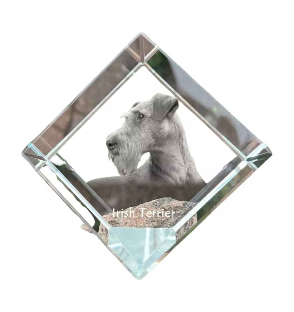 Terrier irlandais, Irish Terrier - un cube de cristal avec une photo, une photo de cheval dans le cristal, un presse-papiers cubique de la marque Art-Dog
