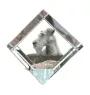 Irischer Terrier, Irish Terrier - Kristallwürfel mit Bild, Pferdebild im Kristall, sechseckiger Papierclip der Marke Art-Dog