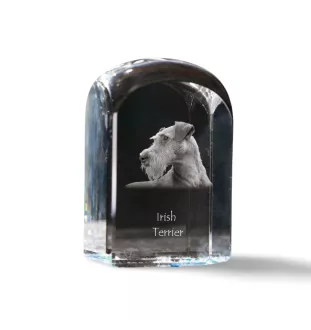Irischer Terrier, Irish Terrier - Kristallwürfel mit Bild, Hundebild im Kristall, sechseckiger Papierclip von Art-Dog.