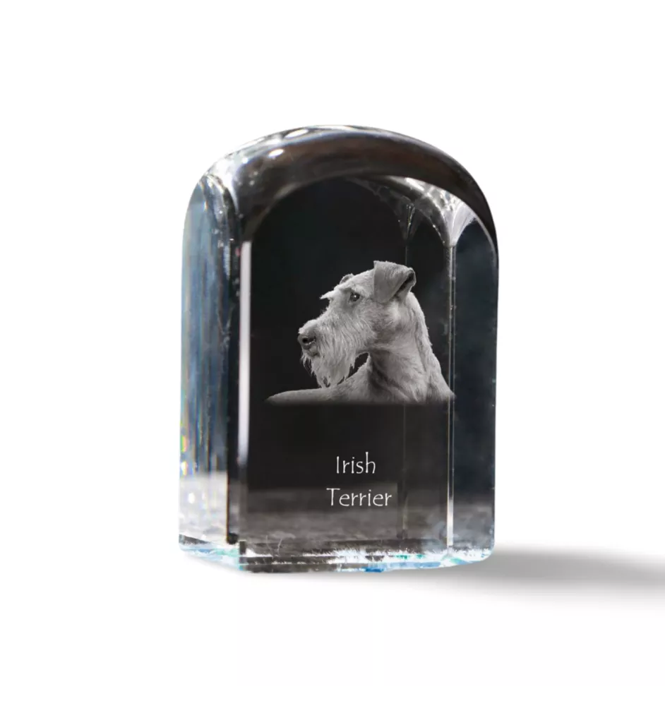 Irischer Terrier, Irish Terrier - Kristallwürfel mit Bild, Hundebild im Kristall, sechseckiger Papierclip von Art-Dog.