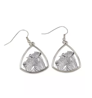 Irish Terrier, Irish Red Terrier, Brocaire Rua - dog earrings, hanging earrings with a picture, personalized jewelry with Art-Dog brand print