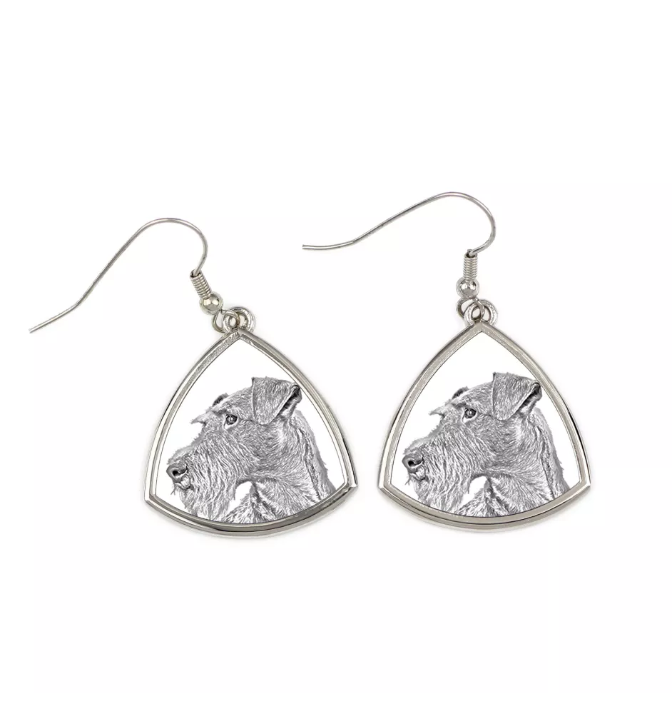 Irish Terrier, Irish Red Terrier, Brocaire Rua - dog earrings, hanging earrings with a picture, personalized jewelry with Art-Dog brand print