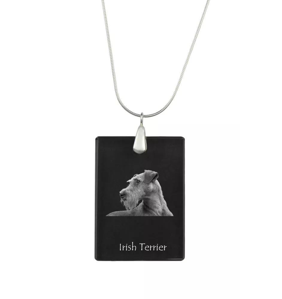 Terrier irlandais, Irish Terrier - Pendentif en cristal avec chien, collier en argent avec photo, pendentif personnalisé par la marque Art-Dog