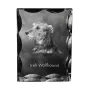 Lévrier irlandais, Irish wolfhound - cristal avec photo de chien, statuette en verre avec photo, cadre exceptionnel avec photo de la marque Art-Dog