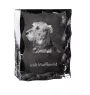 Irish Wolfhound - crystal with a picture of a dog, glass statuette with a picture, unique frame with a picture from Art-Dog brand