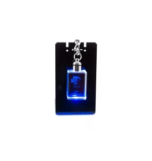 Lévrier irlandais, Irish wolfhound - Porte-clés en cristal avec photo de chien, porte-clés lumineux, cadeau unique de la marque Art-Dog