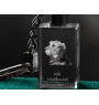 Irischer Wolfshund, Irish Wolfhound - Schlüsselanhänger aus Kristall mit Hundefoto, beleuchteter Schlüsselanhänger, einzigartiges Geschenk der Marke Art-Dog