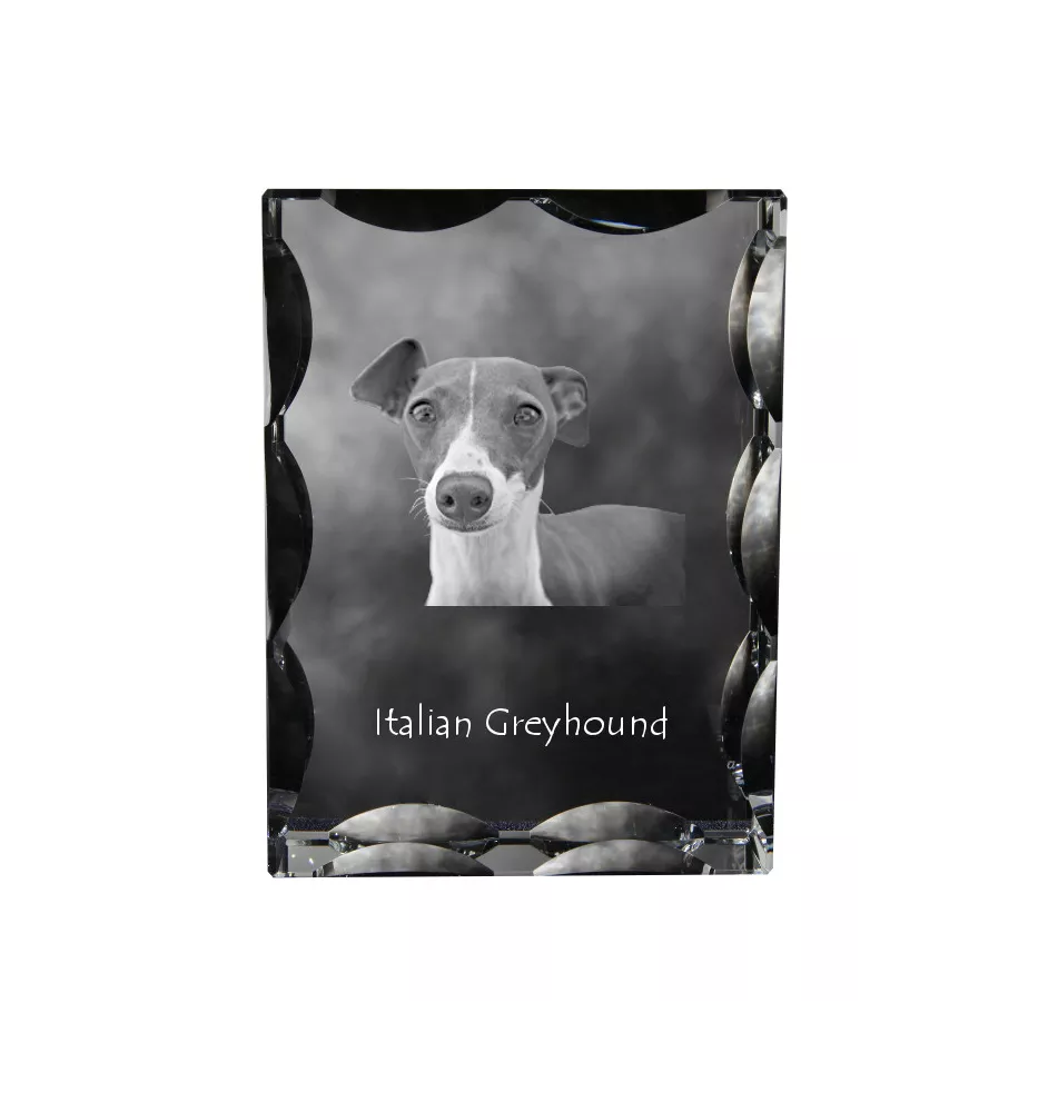 Levrette d'Italie, Petit lévrier italien - cristal avec photo de chien, statuette en verre avec photo, cadre exceptionnel avec photo de la marque Art-Dog