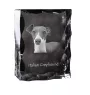 Levrette d'Italie, Petit lévrier italien - cristal avec photo de chien, statuette en verre avec photo, cadre exceptionnel avec photo de la marque Art-Dog
