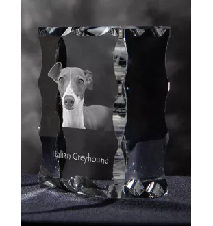 Levrette d'Italie, Petit lévrier italien - cristal avec photo de chien, statuette en verre avec photo, cadre exceptionnel avec photo de la marque Art-Dog