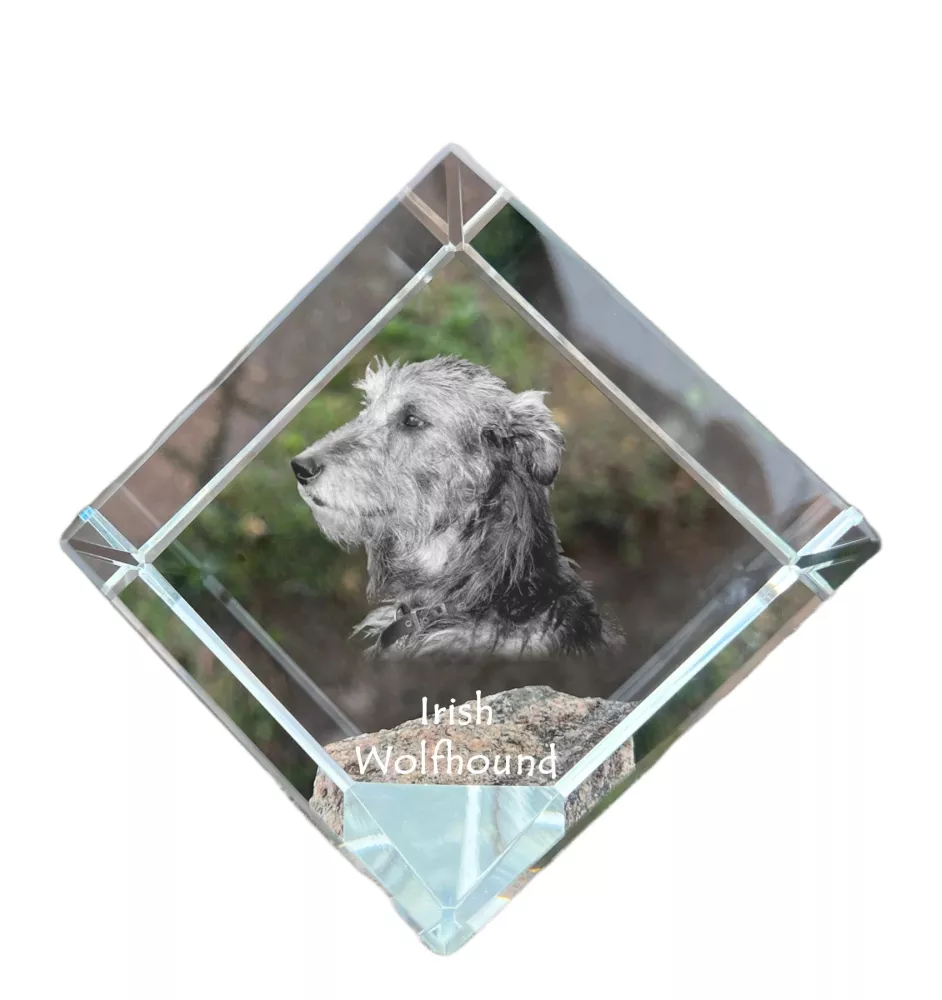 Lévrier irlandais, Irish wolfhound - un cube de cristal avec une photo, une photo de cheval dans le cristal, un presse-papiers cubique de la marque Art-Dog
