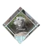 Irischer Wolfshund, Irish Wolfhound - Kristallwürfel mit Bild, Pferdebild im Kristall, sechseckiger Papierclip der Marke Art-Dog