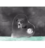 Levrette d'Italie, Petit lévrier italien - horloge en cristal avec une photo de chien, horloge de table en forme de cœur, horloge debout personnalisée de la marque Art-Dog