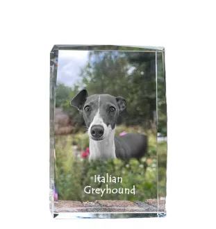 Levrette d'Italie, Petit lévrier italien - cristal avec une photo de chien, photo sous verre, exposition moderne de la marque de photos Art-Dog