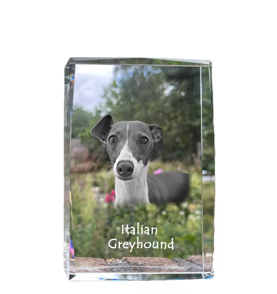 Levrette d'Italie, Petit lévrier italien - cristal avec une photo de chien, photo sous verre, exposition moderne de la marque de photos Art-Dog