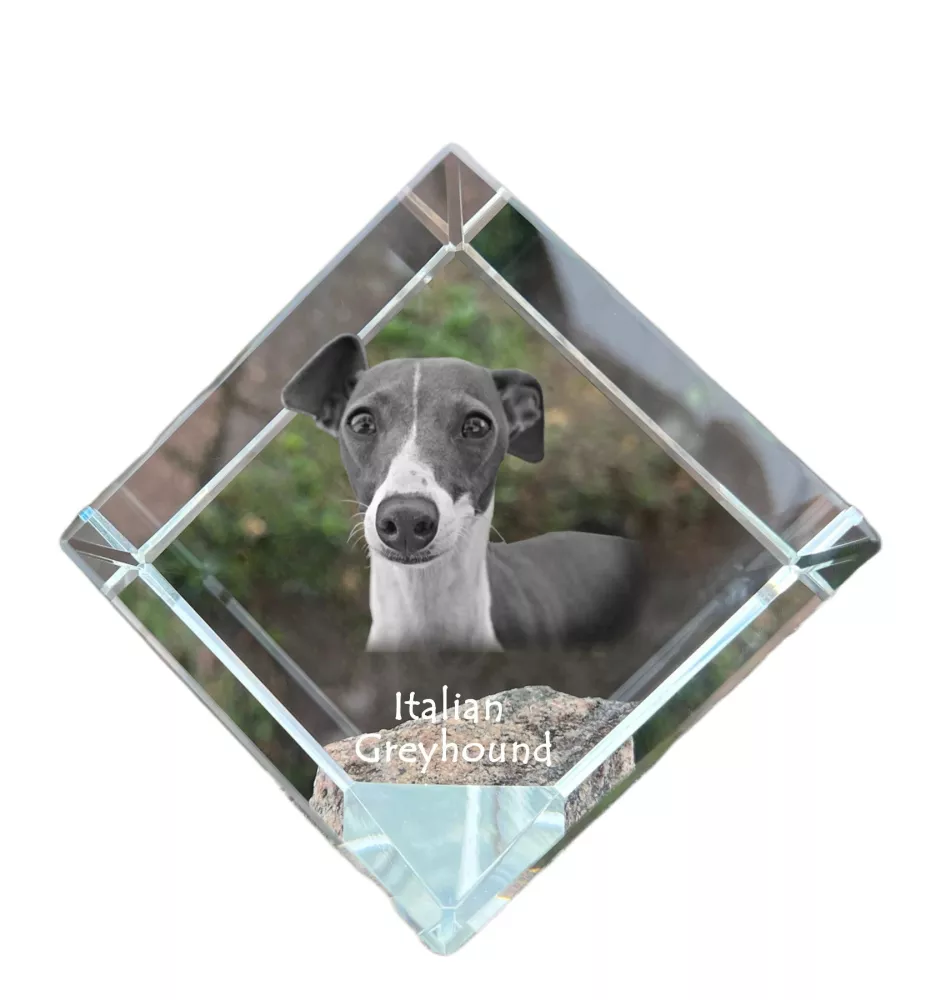 Levrette d'Italie, Petit lévrier italien - un cube de cristal avec une photo, une photo de cheval dans le cristal, un presse-papiers cubique de la marque Art-Dog