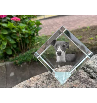 Charcik włoski kostka kryształowa z psem Art-Dog