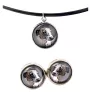 Italian Greyhound, Italian Sighthound - jewelry with your photo box, set of necklace and earrings, personalized products from the Art-Dog brand