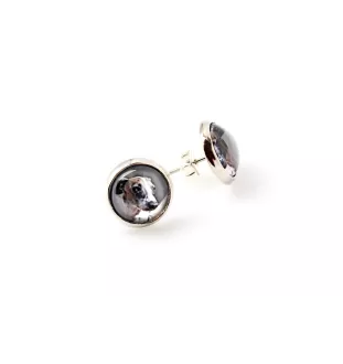Italian Greyhound, Italian Sighthound - a set of jewelry in a box, necklace, earrings, bracelet, products from the Art-Dog brand