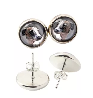 Levrette d'Italie, Petit lévrier italien - boucles d'oreilles dans une boîte, votre photo, bijoux faits à la main, produit de la marque Art-Dog.