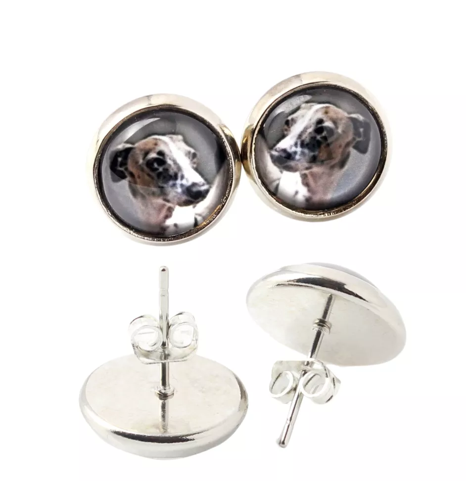Levrette d'Italie, Petit lévrier italien - boucles d'oreilles dans une boîte, votre photo, bijoux faits à la main, produit de la marque Art-Dog.