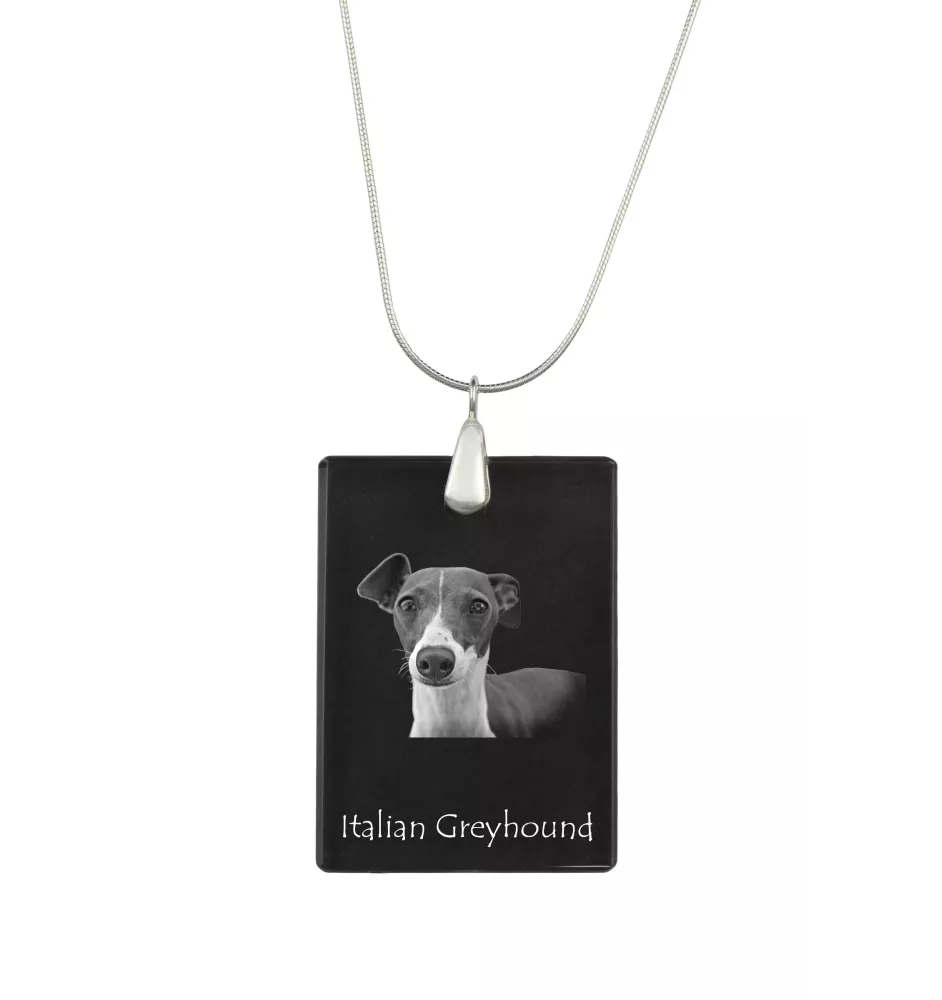 Levrette d'Italie, Petit lévrier italien - Pendentif en cristal avec chien, collier en argent avec photo, pendentif personnalisé par la marque Art-Dog