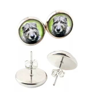 Irish Wolfhound - earrings in a box, your photo, handmade jewelry, a product of the Art-Dog brand