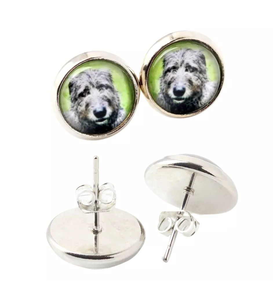 Irischer Wolfshund, Irish Wolfhound - Ohrringe in einer Schachtel, Ihr Foto, handgefertigter Schmuck, Eigenmarke von Art-Dog.