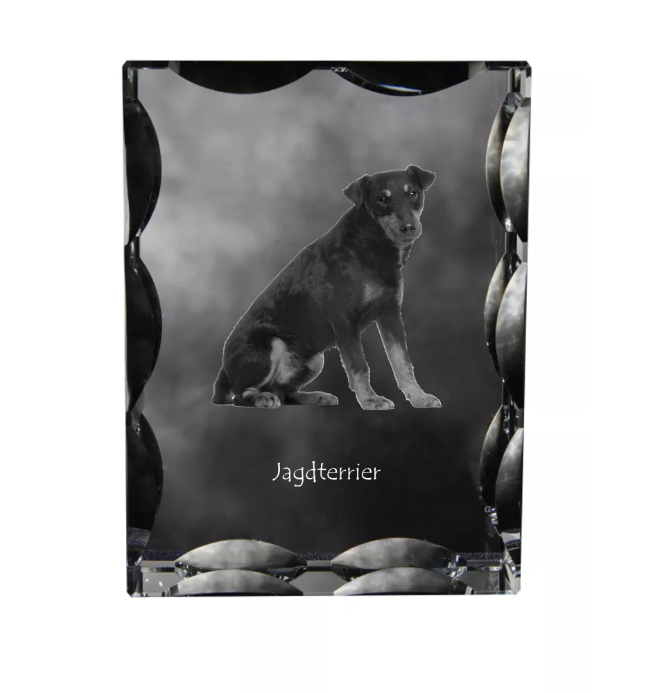 Jagdterrier - crystal with a picture of a dog, glass statuette with a picture, unique frame with a picture from Art-Dog brand