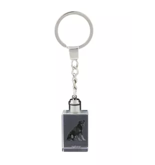 Chien d'arrêt - Porte-clés en cristal avec photo de chien, porte-clés lumineux, cadeau unique de la marque Art-Dog