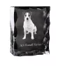 Jack Russell Terrier - Kristall mit einem Hundebild, Glasstatuette mit einem Bild, einzigartiger Bilderrahmen der Marke Art-Dog