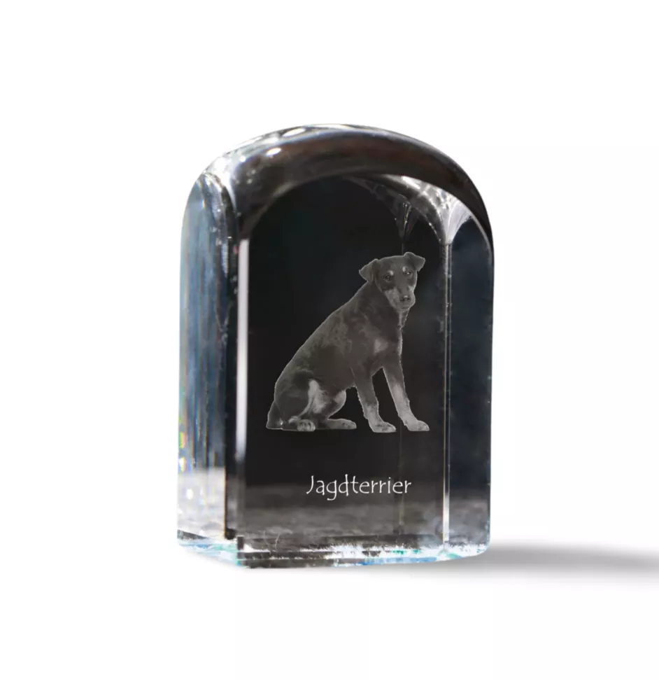 Jagdterrier - crystal cube with a photo, photo of a dog in crystal, cubic paperweight from Art-Dog brand